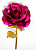 IMG-20201104-WA0016