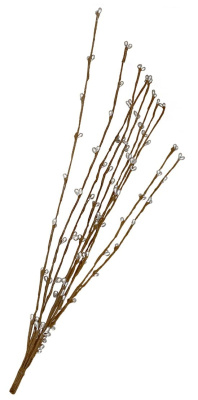 branch_with_silver_buds